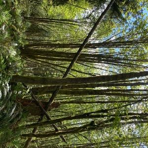 Meet your Posher, Cailey